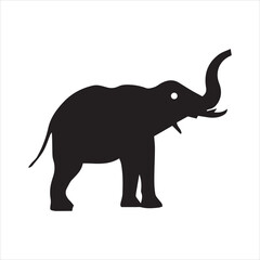 Obraz premium elephant isolated on white background