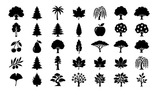 Deciduous, Coniferous, and Fruit Trees Black Silhouette Icon Set Featuring Oak, Pine, Maple, Apple, Bonsai, and Detailed Leaf Symbols for Environmental and Landscaping Branding