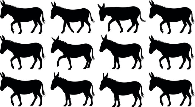 Donkey silhouette collection with vector farm animal shapes mule standing side view jackass walking graphic elements isolated on white background