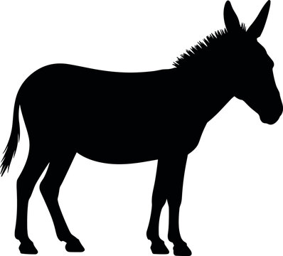 Donkey silhouette vector illustration isolated on white background standing side view profile farm animal graphic icon for logo design