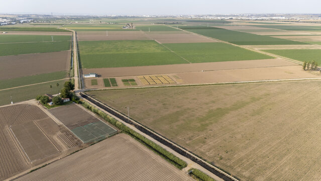 Aerial view of Finca El Majano surrounded by vast agricultural fields, irrigation canals, and rural roads under a clear sky in Coria del Rio, Andalusia, Spain.