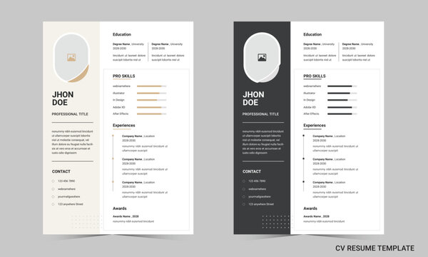 Professional CV Resume Template Layout with Light and Dark Themes