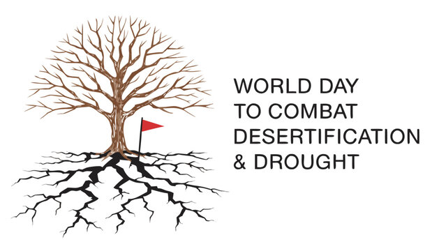 Bare tree with deep roots for world day to combat desertification