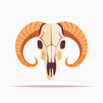 Ram Skull with Curved Horns