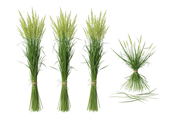 Obraz premium Three upright bundles of fresh green meadow grass tied with twine, alongside a smaller horizontal sheaf, isolated on a solid black background