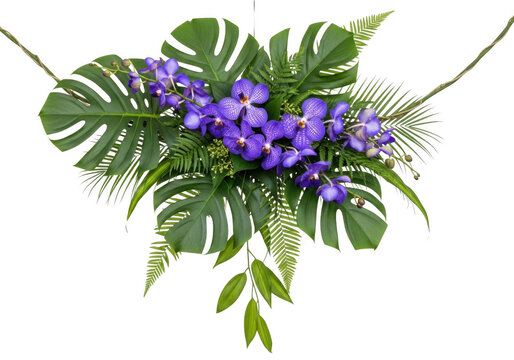 Tropical floral arrangement featuring vibrant purple vanda orchids, large green monstera leaves, and feathery fern fronds on black background