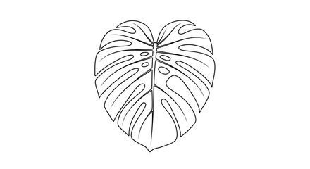 Monstera leaf outline, heart shape, tropical plant illustration, isolated on white © Pasar