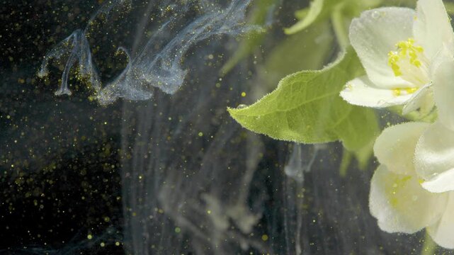 White petal and leaf with pollen flecks drifting in ink, macro underwater capture showing golden specks, translucent flow and textured detail