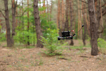 Obraz premium drone flies into the forest