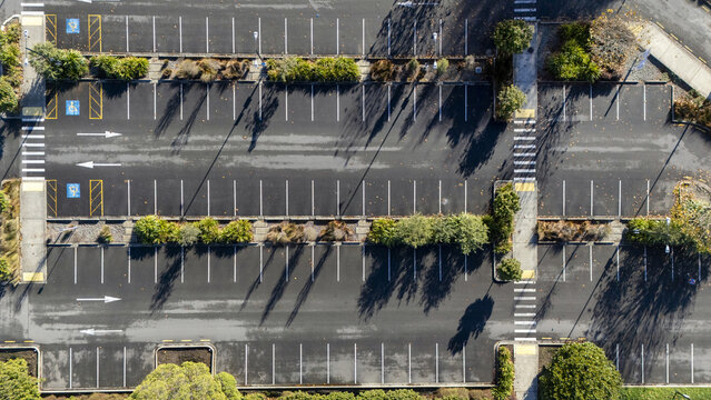 Aerial view of an empty asphalt parking lot with white lines, directional arrows, and green trees casting long shadows Nelson, Nelson Region, New Zealand.