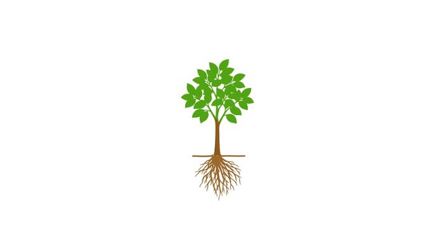 Tree growing animation with underground root system showing lifecycle development on white background