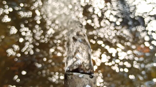 Clear water flowing from a faucet during filling activity, illustrating access to clean water and everyday water usage in a domestic setting.