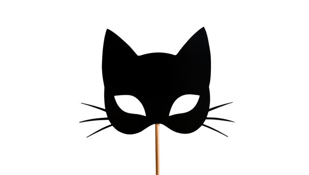 Black cat mask on stick with whiskers
