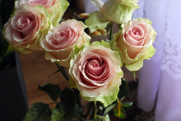 COLORFUL ROSES IN A VASE ON THE TABLE © Piotr