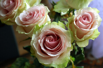 COLORFUL ROSES IN A VASE ON THE TABLE © Piotr