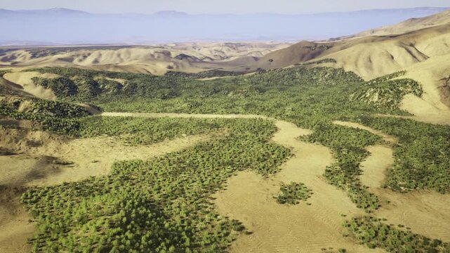 Aerial arid valley with scattered shrubs sunlit plateau and distant ridgelines remote survey team planning habitat mapping for dryland restoration
