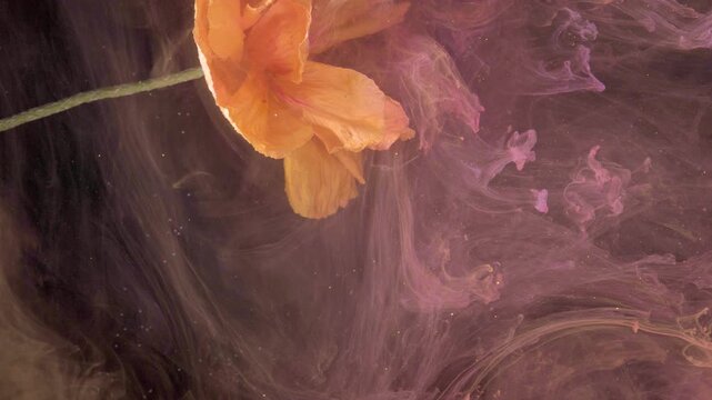 Upside down poppy inky swirl, creative studio suspension where stem curves into smoky tides, warm orange petals counter cool magenta haze, elegant