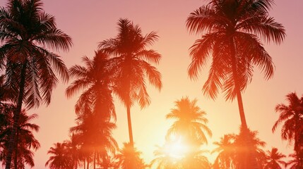 Obraz premium Palm Tree Silhouettes Against Glowing Tropical Sunset Sky