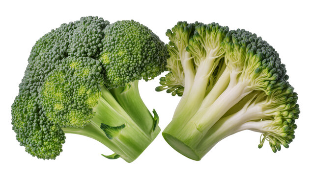 Fresh green broccoli florets and stems