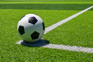 Fototapeta premium The football on the green soccer field