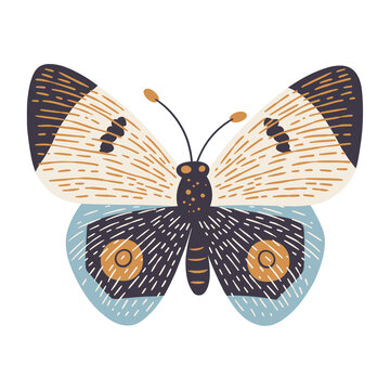 Minimalist boho style butterfly illustration with various patterns.