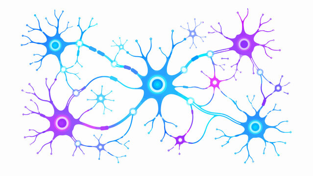 Neuron cells, neural network, brain connections, neuroscience, biology vector isolated on White Background Editable EPS