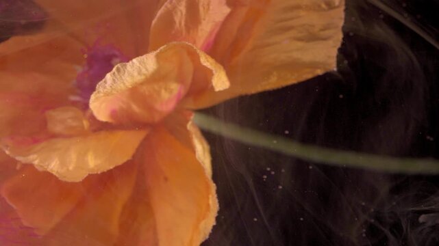 Closeup textured petal with smoke, scientific stilllife explores surface detail and pigment adhesion, velvet edges catch light while ink eddies create