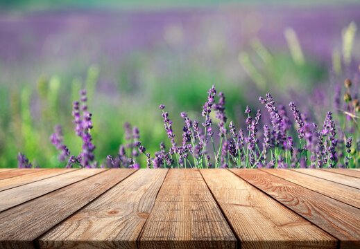 Wooden table top standing in a blooming lavender field with blurred background