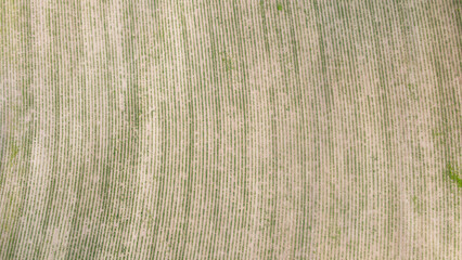 Wide aerial view of harvested farmland © YARphotographer