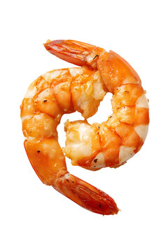 Single cooked shrimp with tail on, peeled and seasoned, isolated on a light background.