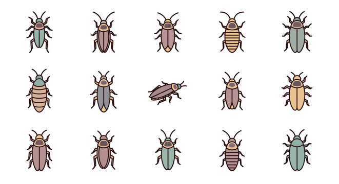 Set of various insect illustrations for design and educational projects