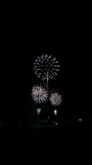 Fototapeta premium 花火