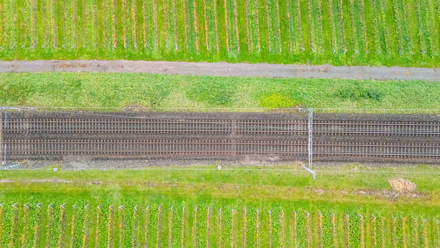 Aerial view of railway tracks passing through lush green vineyards and agricultural fields in Crans, Vaud, Switzerland.