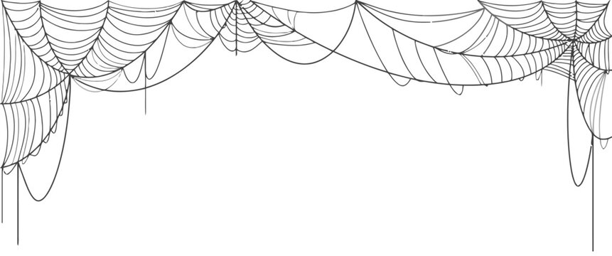 Cobweb draped border, graphic illustration detail