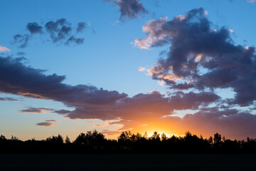 Fototapeta premium Vibrant sunset under the forest with dramatic sky