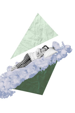 Creative design composite trend artwork collage of young lady lying sleep deb pillow florist holiday nature flower international woman day