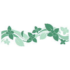 Mint Green Leaves Vector Set, Fresh Herbal Botanical Foliage Collection, Organic Peppermint Plant Illustration, Natural Garden Leaf Elements, Eco Nature Design Isolated on White Background © classic shape