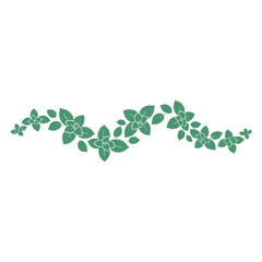 Mint Green Leaves Vector Set, Fresh Herbal Botanical Foliage Collection, Organic Peppermint Plant Illustration, Natural Garden Leaf Elements, Eco Nature Design Isolated on White Background © classic shape