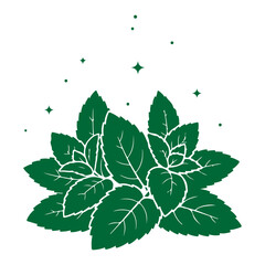 Mint Green Leaves Vector Set, Fresh Herbal Botanical Foliage Collection, Organic Peppermint Plant Illustration, Natural Garden Leaf Elements, Eco Nature Design Isolated on White Background © classic shape