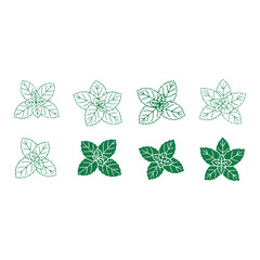 Mint Green Leaves Vector Set, Fresh Herbal Botanical Foliage Collection, Organic Peppermint Plant Illustration, Natural Garden Leaf Elements, Eco Nature Design Isolated on White Background © classic shape