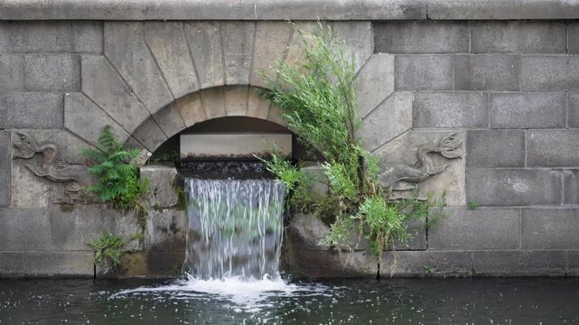 A close view shows water spilling from a stone outlet into a Berlin canal. Willow shrubs and small riverside plants frame carved bird reliefs on the weathered wall.