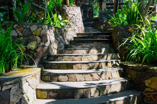 stone stairs in the garden