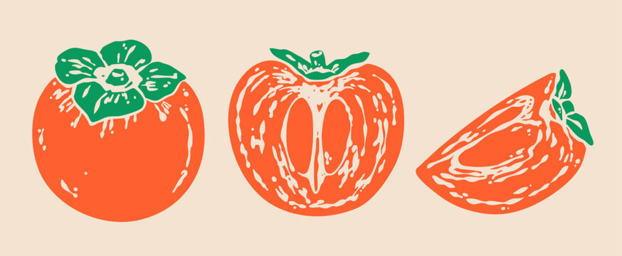 Delicious ripe Persimmon. Whole, cut, sliced piece of tasty orange fruit. Hand drawn modern Vector illustration. Isolated design elements. Logo, icon, sticker, print templates