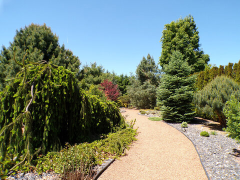 Summer landscape with trees and trail in the park