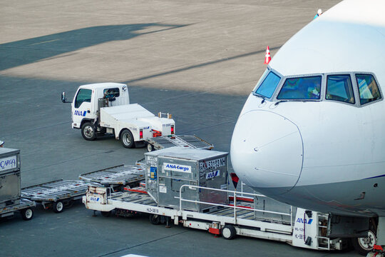 2026年5月、千歳空港にて、駐機場で貨物コンテナの積み込み作業を行う全日空機と作業車両