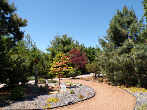 Summer landscape with trees and flower bed in the park