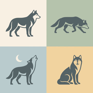 Gray wolf illustrations in different poses.
