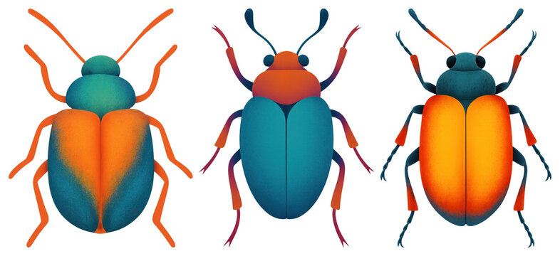PNG Colorful vibrant beetle illustration on transparent background
