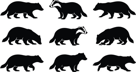 Badger silhouettes collection featuring wild forest animal icons in various walking and standing poses for nature and wildlife conservation design projects © MstSumi