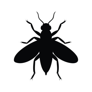 Silhouette of stonefly insect isolated on white background vector illustration design, stonefly silhouette vector illustration